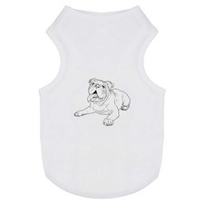 'English Bulldog' Pet Dog /