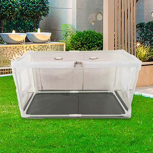 Mushroom growing tent - mushroom, box