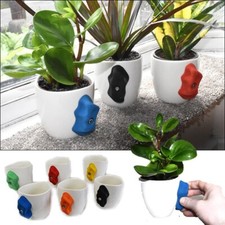 Rock Climbing Plant Pot - REAL