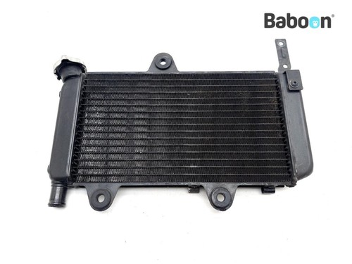 Radiator yamaha 660 x - xt,