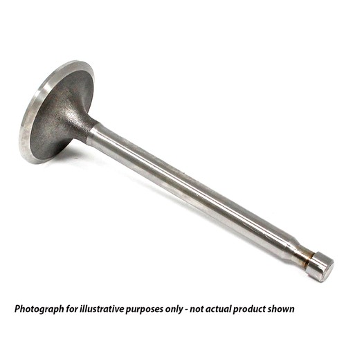 Engine exhaust valve - exhaust, for