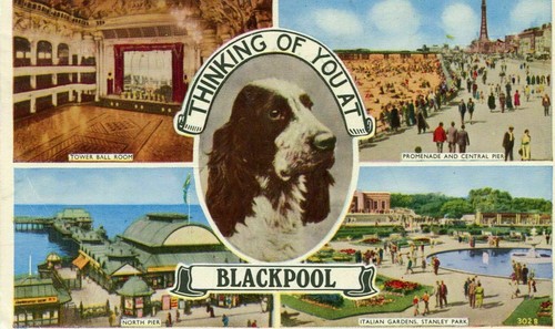 Old british postcard - old,