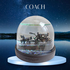 Coach snow dome - dome, carriage