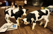 Friesian Calf Pair of Cow