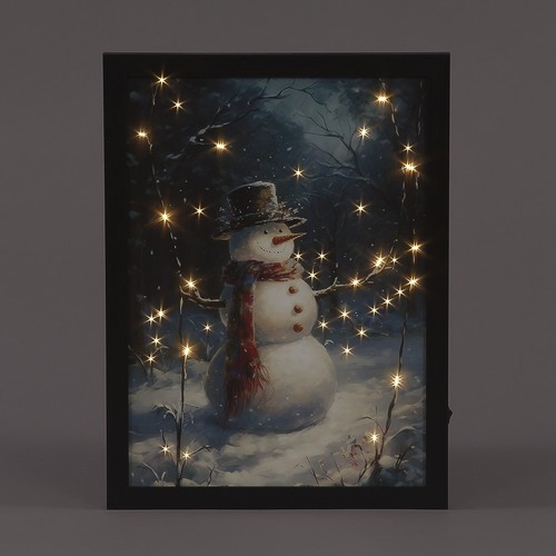 Snowtime fibre optic - snowtime,
