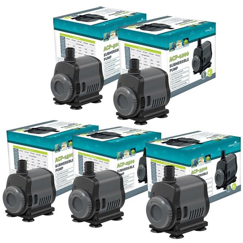 Allpondsolutions aquarium fish - allpondsolutions,