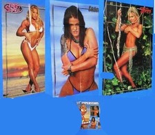 WWF Superstars Magazine 10