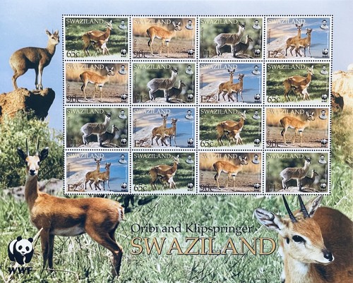 Swaziland wwf oribi - wwf,