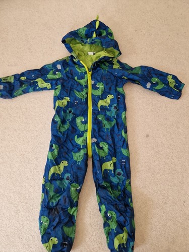 Dinosaur puddle suit years - puddle,