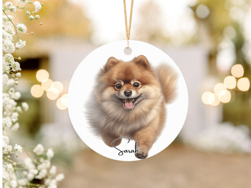 Pomeranian dog acrylic - pomeranian,