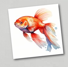 Fridge Magnet Goldfish Classic