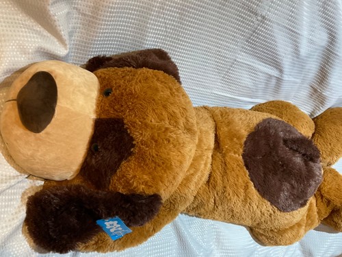 Freddie the floppy dog - freddie,