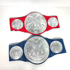WWE Wrestling Tag Team