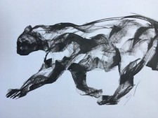 Original signed Ink drawing sketch of a Big Cat, Panther, Leopard A3 approx.