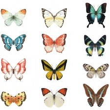 Window Clings Bird Stickers