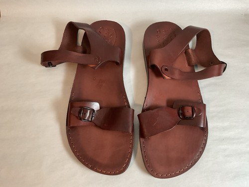 Holy land camel - camel, sandal