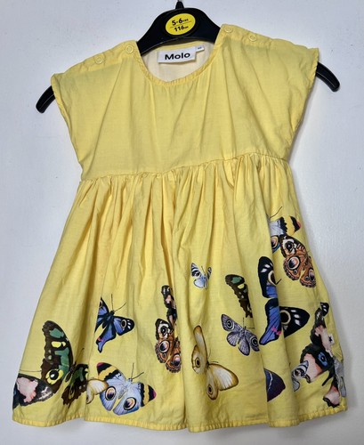 Molo yellow butterfly - butterfly, graphic
