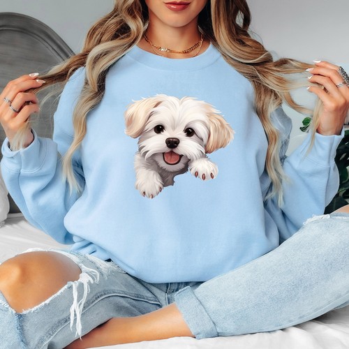 Maltese puppy dog - puppy, animals
