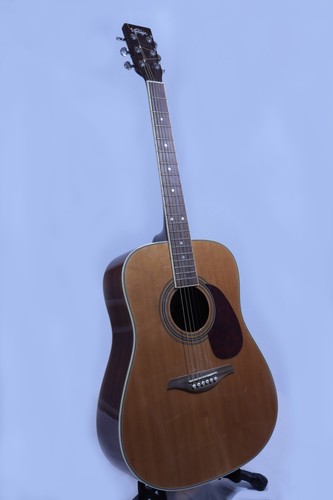 Vintage v400 acoustic guitar - vintage,