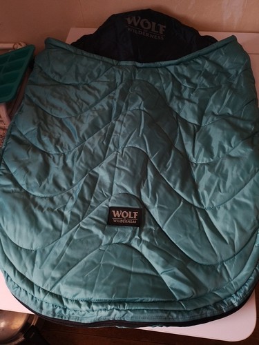 Wolf wilderness baby - wolf,