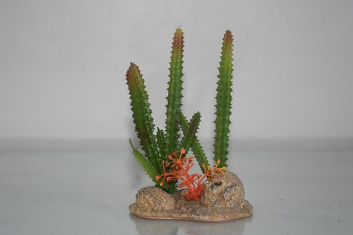 Vivarium cactus flower - vivarium,