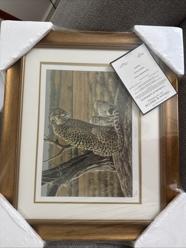 Stephen gayford watchful ltd - gayford, "watchful"