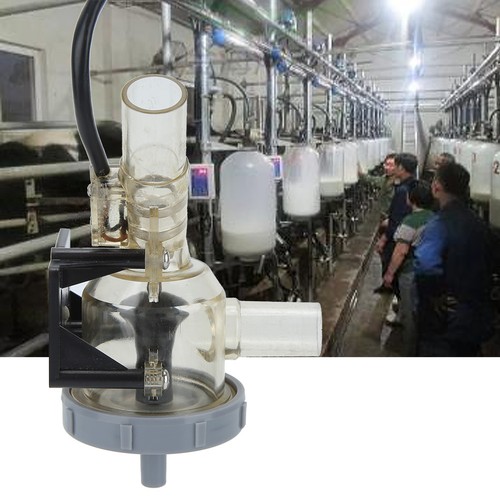 Automatic cow milker - automatic,