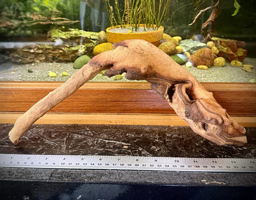 Large aquarium driftwood 35cm - aquarium,