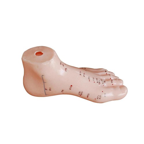 66fit foot acupuncture - foot,