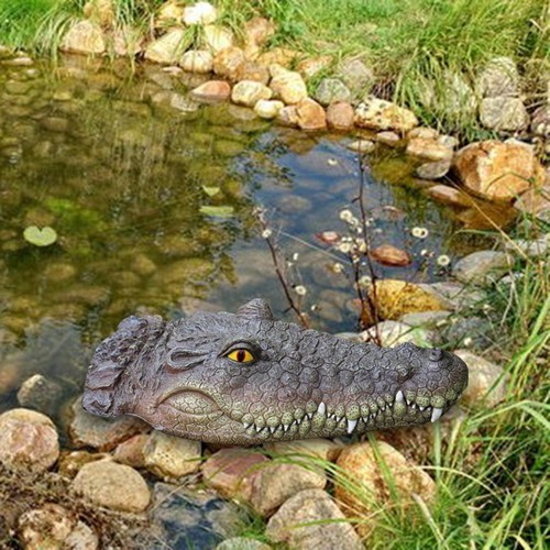 Crocodile head alligator - crocodile,