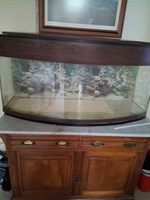 Sea Bray Bow Fronted Tank 47