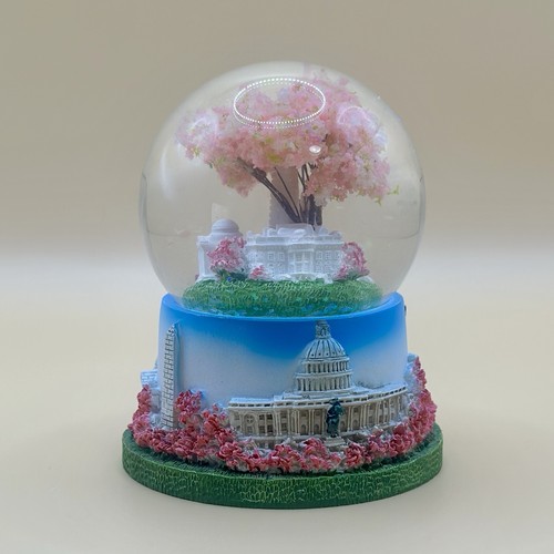 Washington glitter snow - dc,