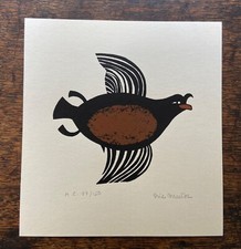 RIE MUNOZ CRESTED AUKLET