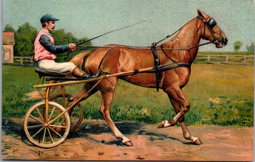 Vintage harness racing - harness,