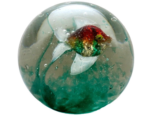 Murano acquarium fish - murano,
