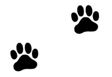 8 x Large Paw Print Stickers
