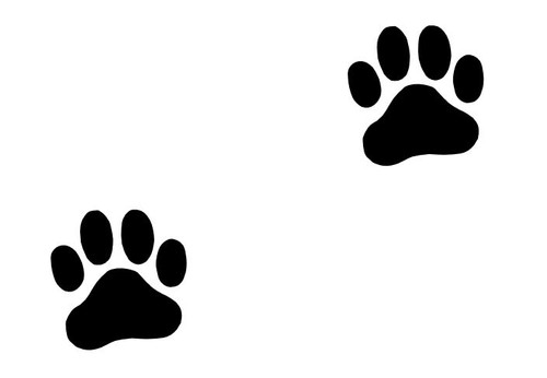 Large paw print - 8,