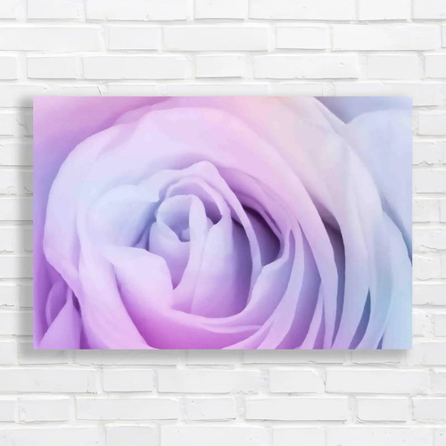 Closeup stunning multicolored - closeup,