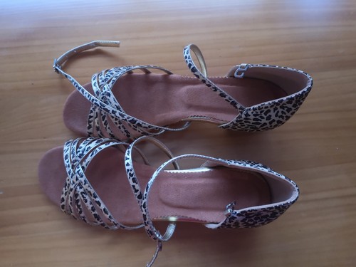 Leopard print latin practice - leopard, latin/practice