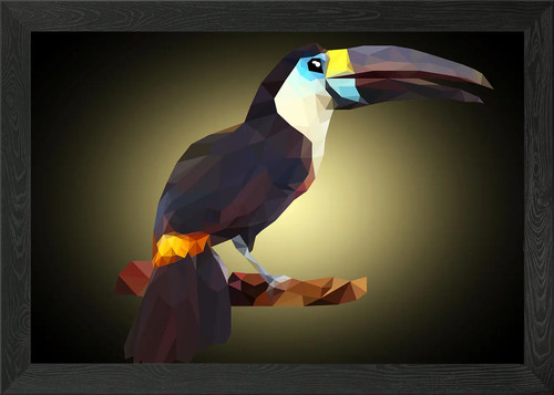 Hornbill framed wall art - hornbill,