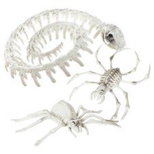 3 PACK ANIMAL SKELETONS