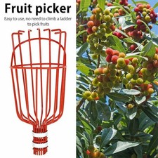 Apple Fruit Picker Lightweight Garden High Tree Catcher Tool Telescopic Steel