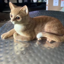 Border Fine Arts Cats &