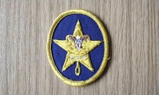 Boy Scouts of America Star