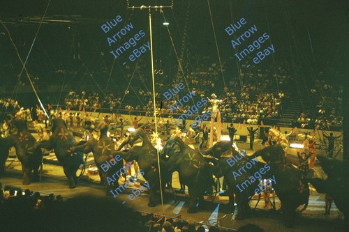 1968 35mm slide ringling - 1968,