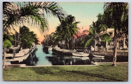 Vintage florida postcard - vintage,