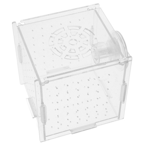 Clear acrylic fish - clear,