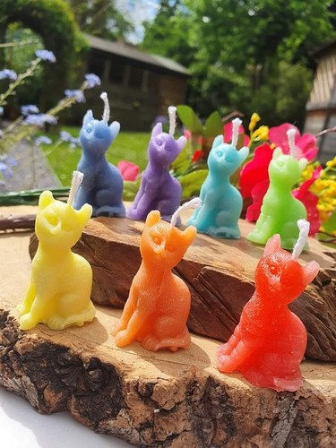 Magic cat spell candle - cat, candle: