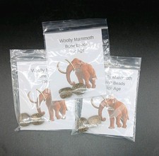 Fossil Woolly Mammoth Bone