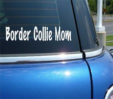 BORDER COLLIE MOM DOG PET